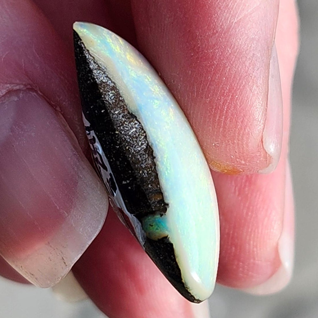 29.76ct Quilpie Boulder Opal | #E241