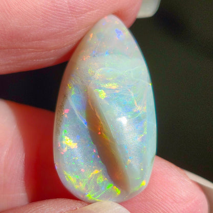 14.44ct Lightning Ridge Semi-Black Australian Opalized Fossil Shell | Freeform Pear | #E289