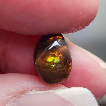 3.12ct Loose Fire Agate | Oval Cabochon
