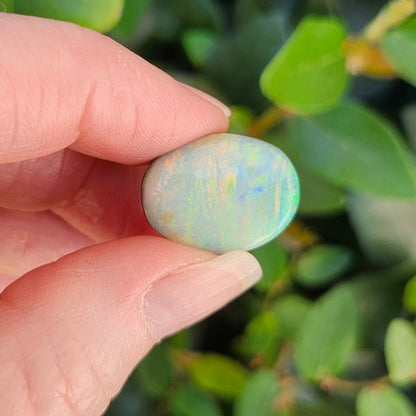 16.35ct Quilpie Boulder Opal | #E253