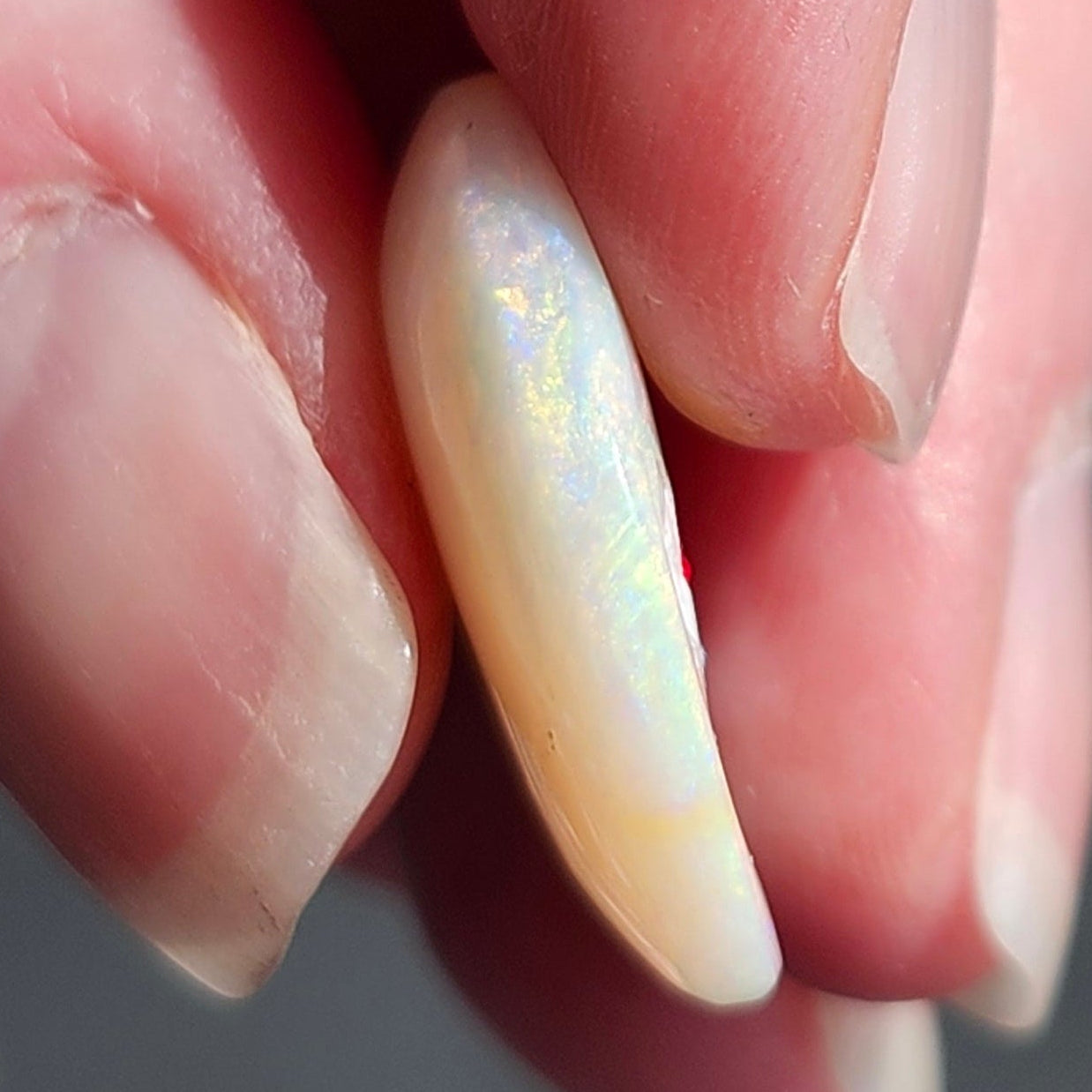 10.46ct Quilpie Boulder Opal | #E240