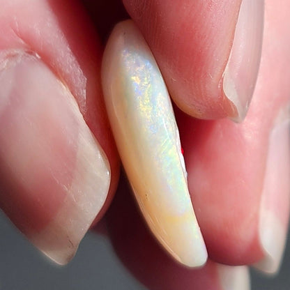 10.46ct Quilpie Boulder Opal | #E240