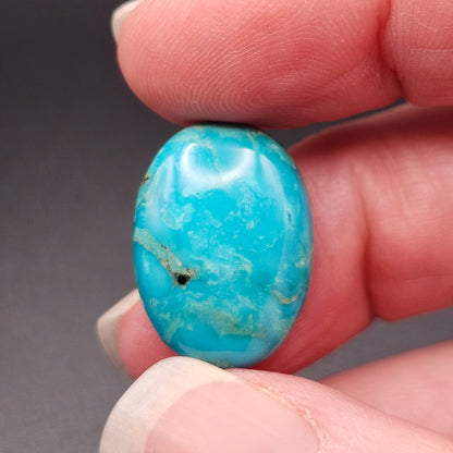 12.96ct Pilot Mountain Turquoise | Oval Cabochon | #521