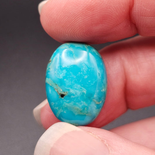 12.96ct Pilot Mountain Turquoise | Oval Cabochon | #521