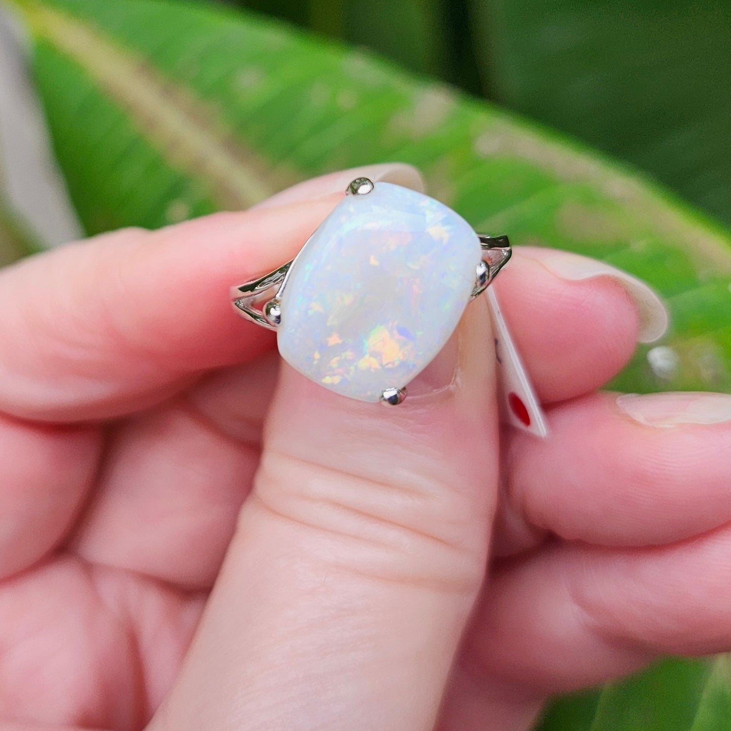 Kali | Ladies Australian White Crystal Opal Ring | Cushion Cut | 10kt White Gold