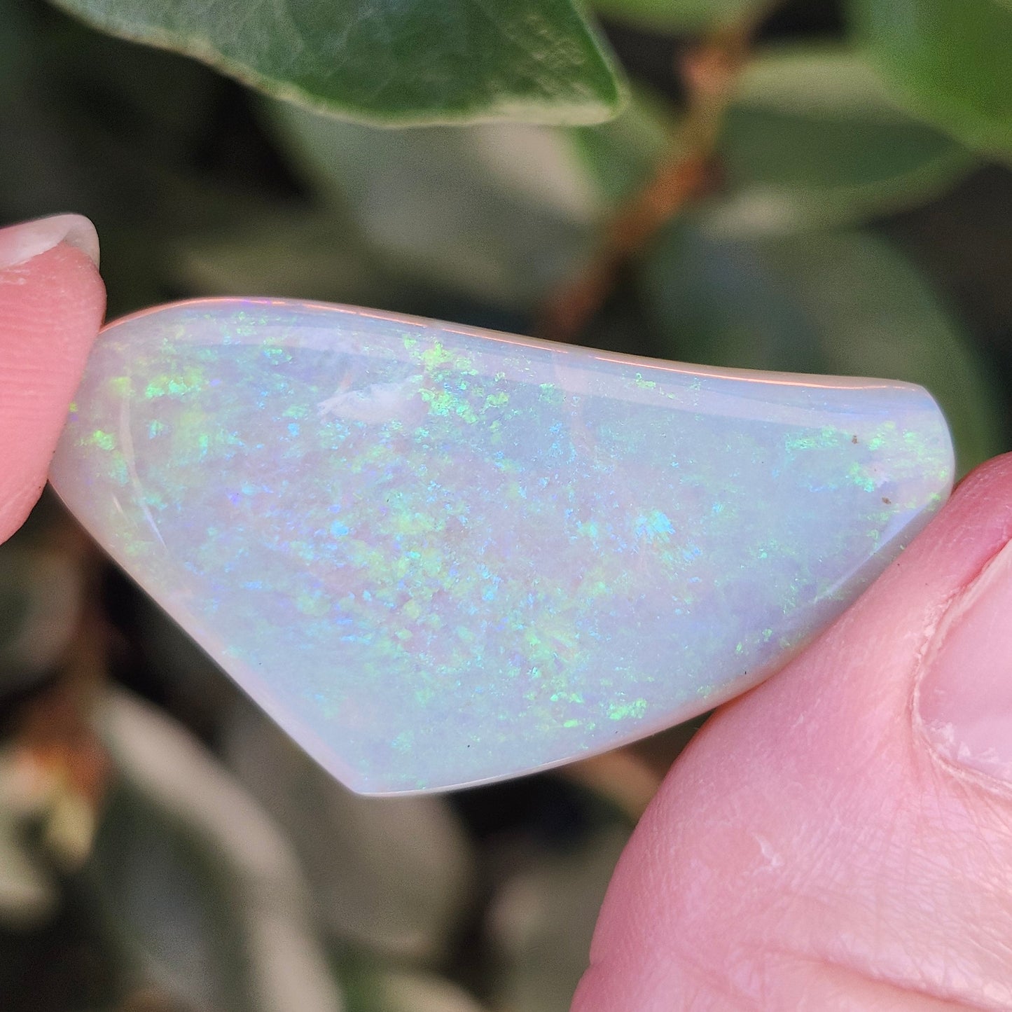 26.03ct Freeform Lightning Ridge Australian Crystal Opal | #E271
