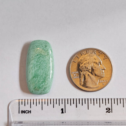 Variscite Cabochon #237 | Utah | Cushion Cut