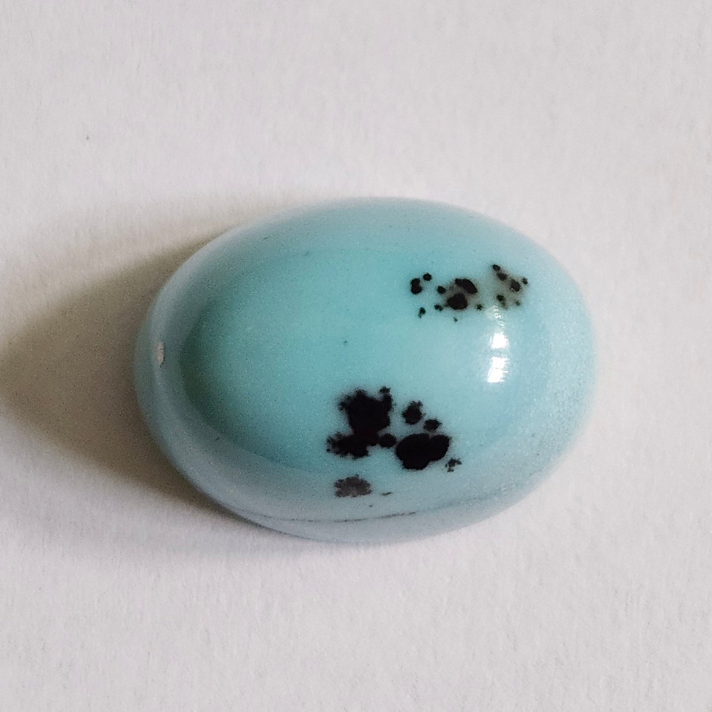 Turquoise #309 | Kingman
