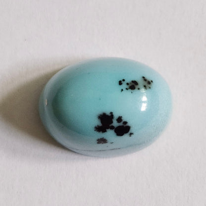 Turquoise #309 | Kingman