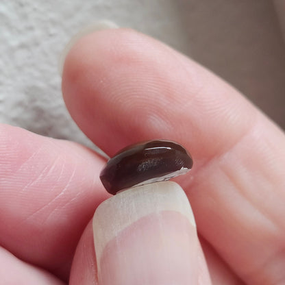 4.71ct Arizona Fire Agate | Oval Cabochon