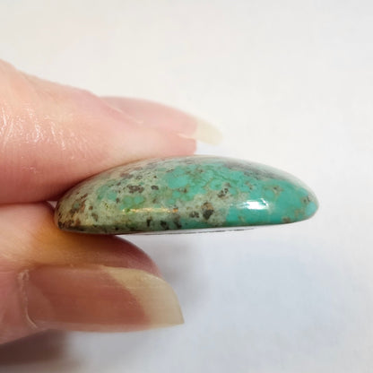 Turquoise #258 | Monte Cristo | Pilot Mountain | Cushion Cut Cabochon