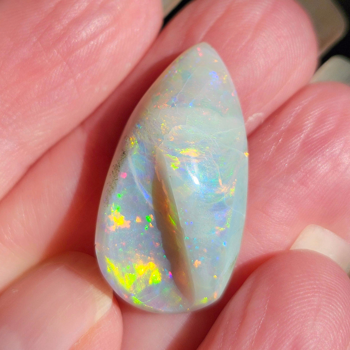 14.44ct Lightning Ridge Semi-Black Australian Opalized Fossil Shell | Freeform Pear | #E289