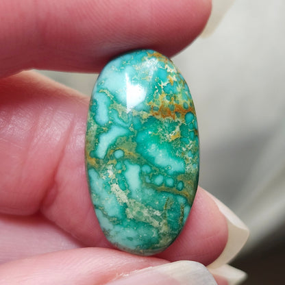 Turquoise #187 | Royston | Oval Cabochon Cut