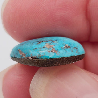 10.42ct Pilot Mountain Turquoise | Freeform Pear Cabochon | #526