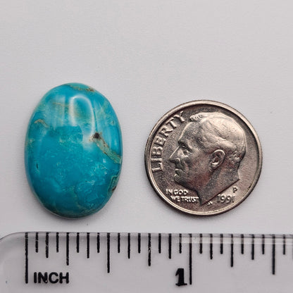 12.96ct Pilot Mountain Turquoise | Oval Cabochon | #521
