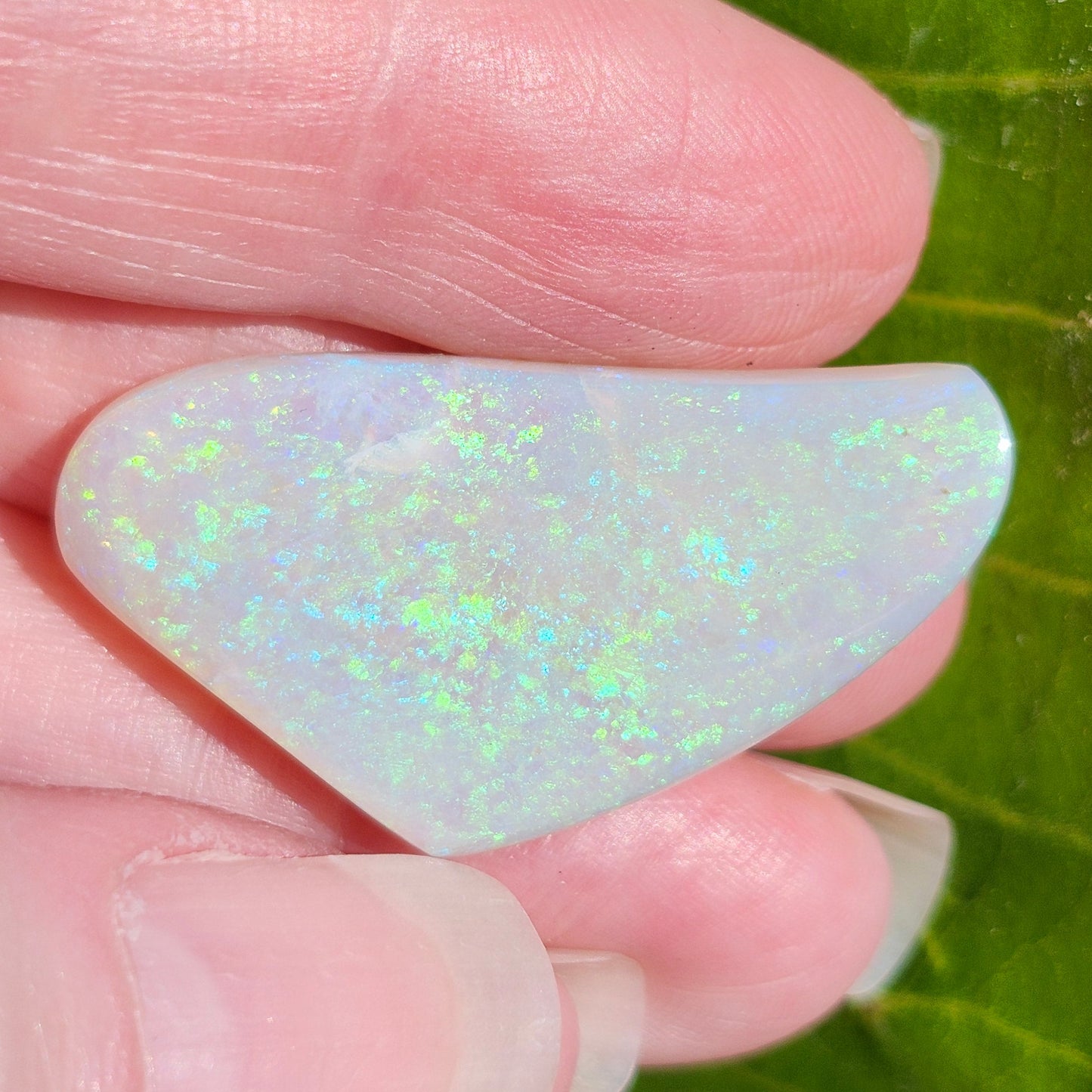 26.03ct Freeform Lightning Ridge Australian Crystal Opal | #E271