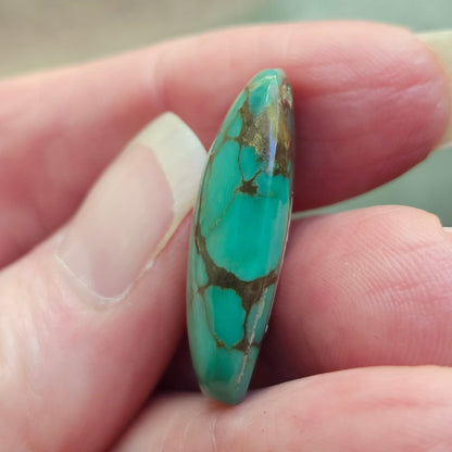 Turquoise #113 | Royston