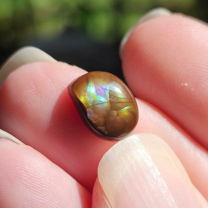 3.07ct Loose Fire Agate | Freeform Pear Cabochon