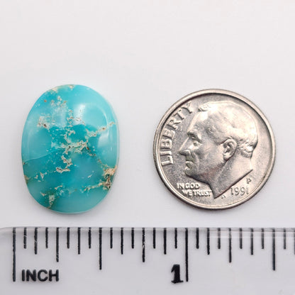 10.55ct Pilot Mountain Turquoise | Oval Cabochon | #519