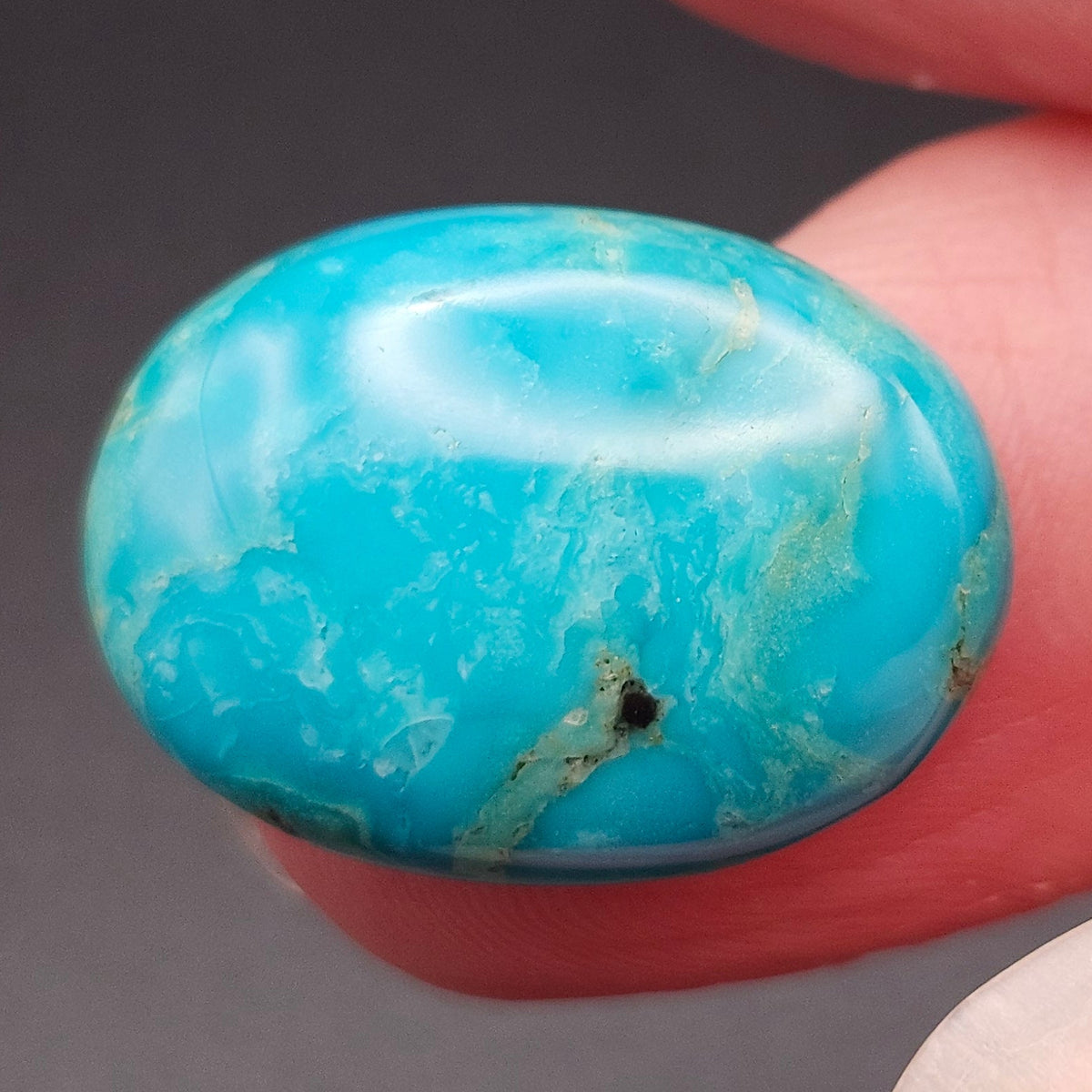 12.96ct Pilot Mountain Turquoise | Oval Cabochon | #521