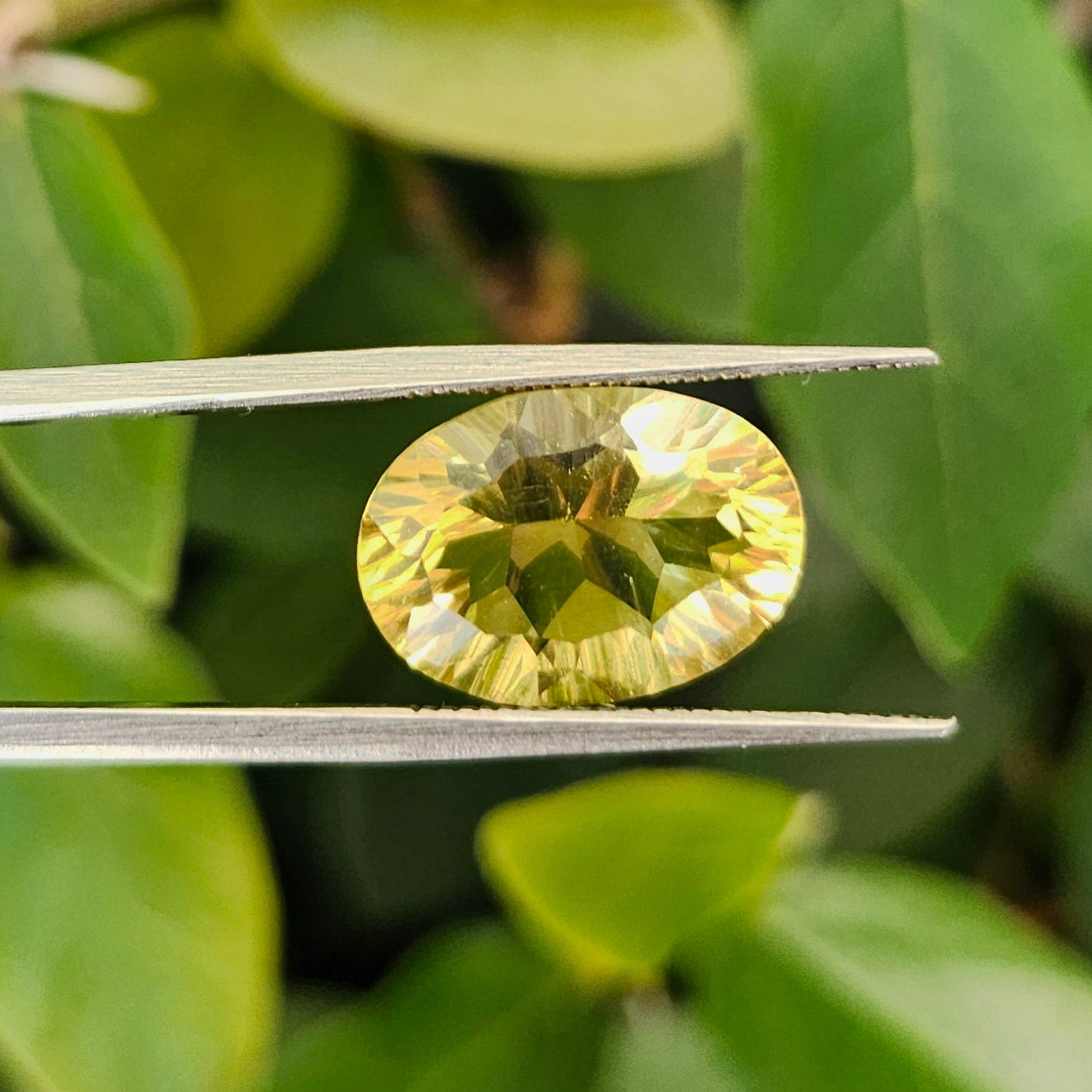 6.19ct Yellow Fluorite | Oval Cut