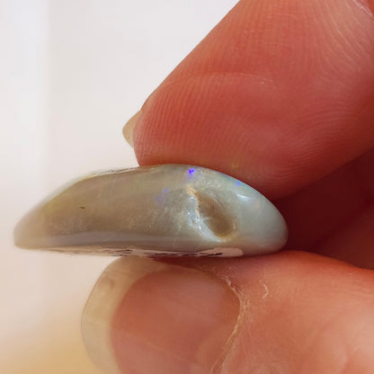 14.44ct Lightning Ridge Semi-Black Australian Opalized Fossil Shell | Freeform Pear | #E289