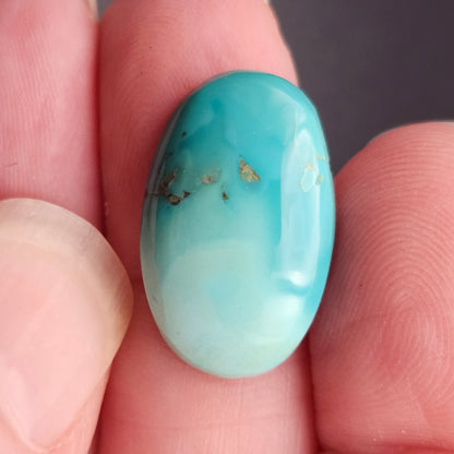 11.66ct Pilot Mountain Turquoise | Oval Cabochon | #522
