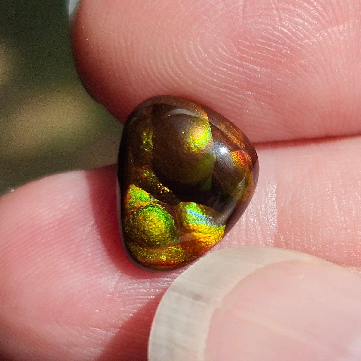 3.69ct Loose Fire Agate | Freeform Pear Cabochon