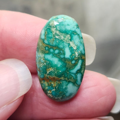 Turquoise #187 | Royston | Oval Cabochon Cut