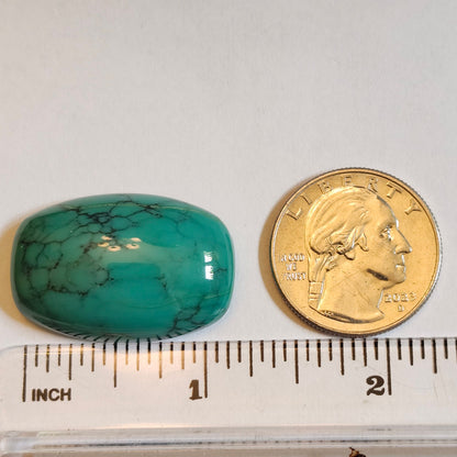 Turquoise #275 | Tyrone | Burro Mountains | Cushion Cut Cabochon