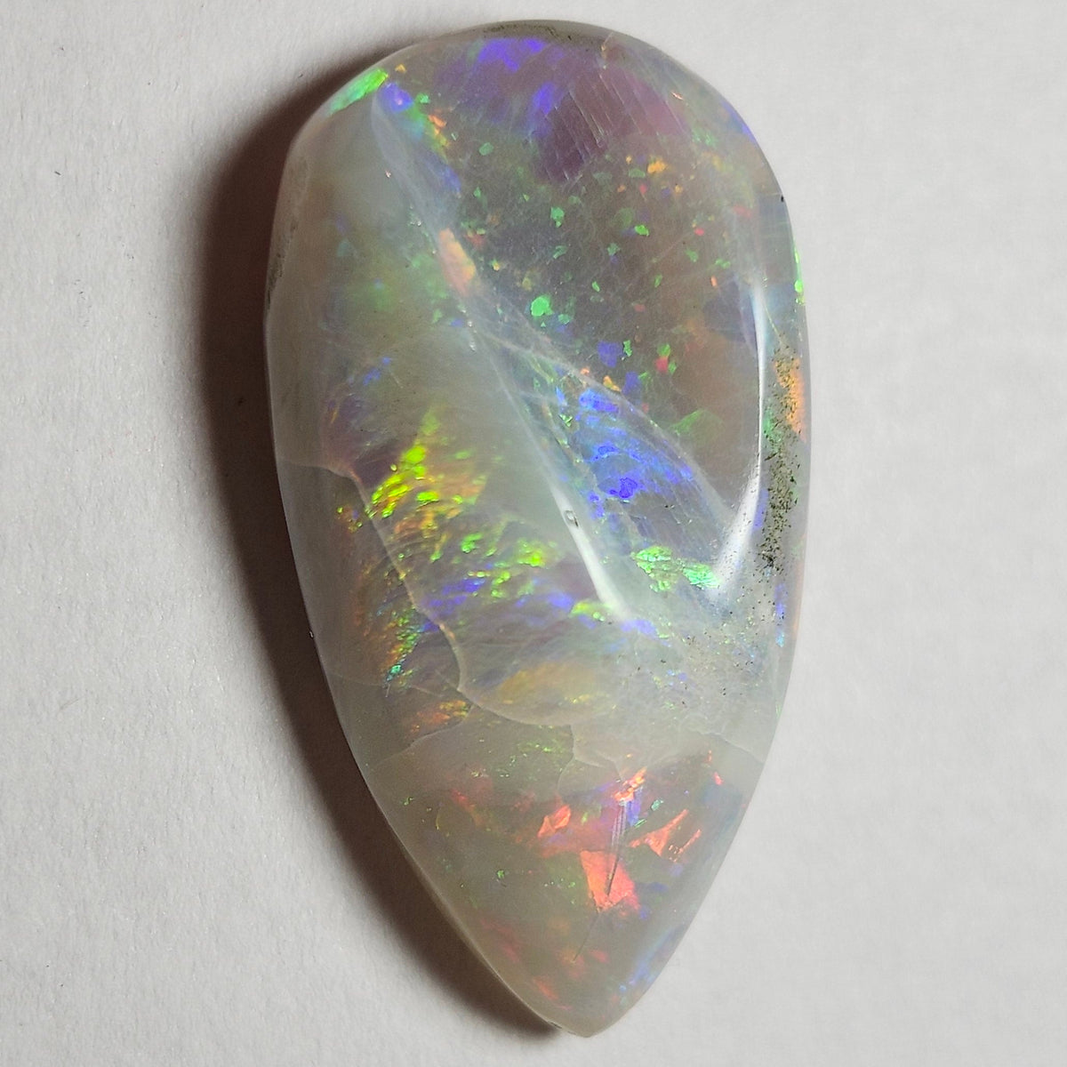 14.44ct Lightning Ridge Semi-Black Australian Opalized Fossil Shell | Freeform Pear | #E289