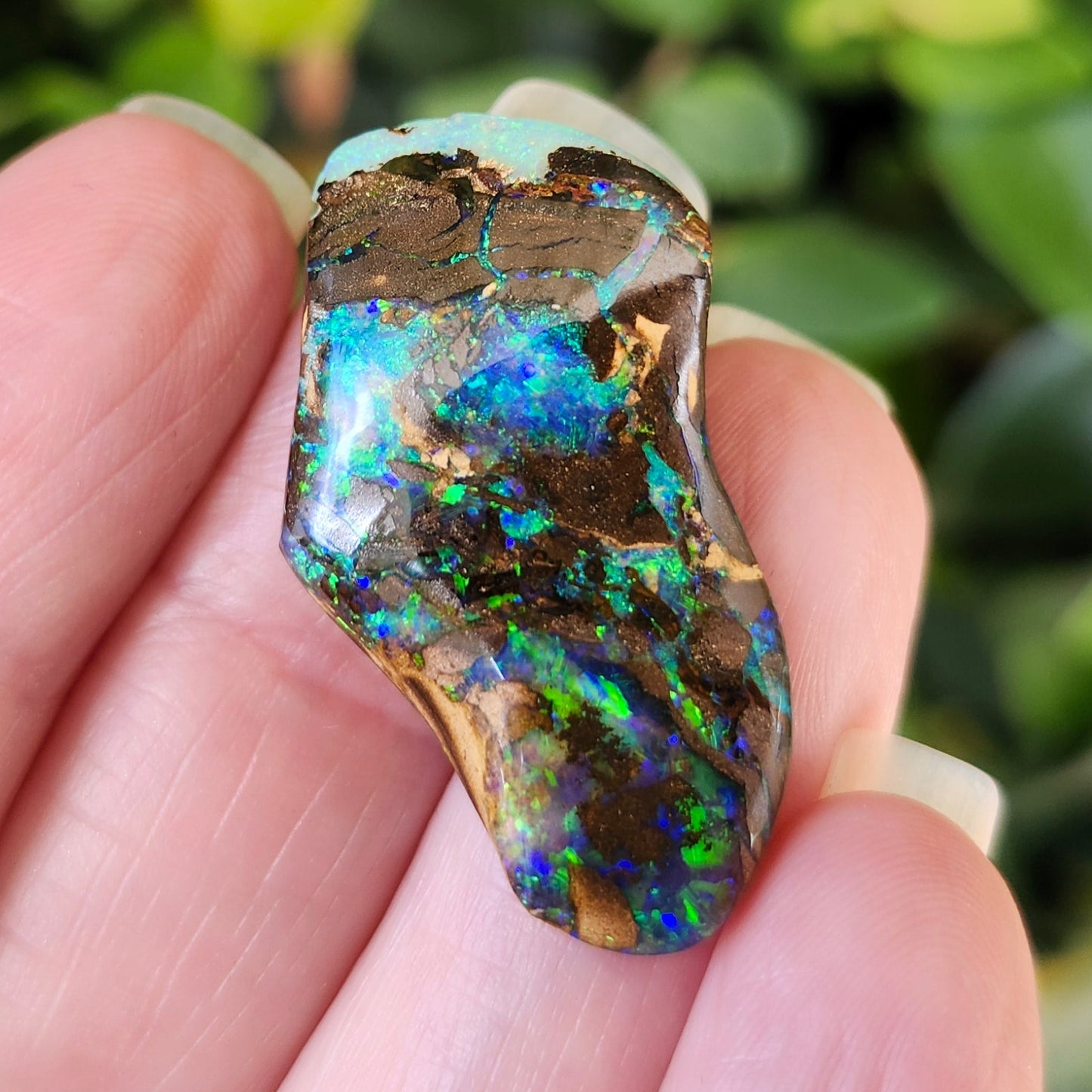 20.60ct Koroit Boulder Matrix Opal | #E264