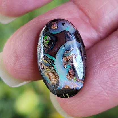 13.90ct Koroit Boulder Matrix Opal | #E262