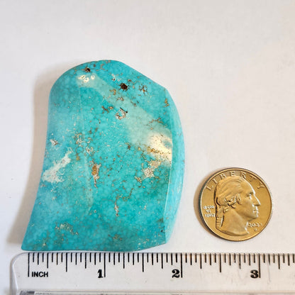 Turquoise #516 | Sleeping Beauty