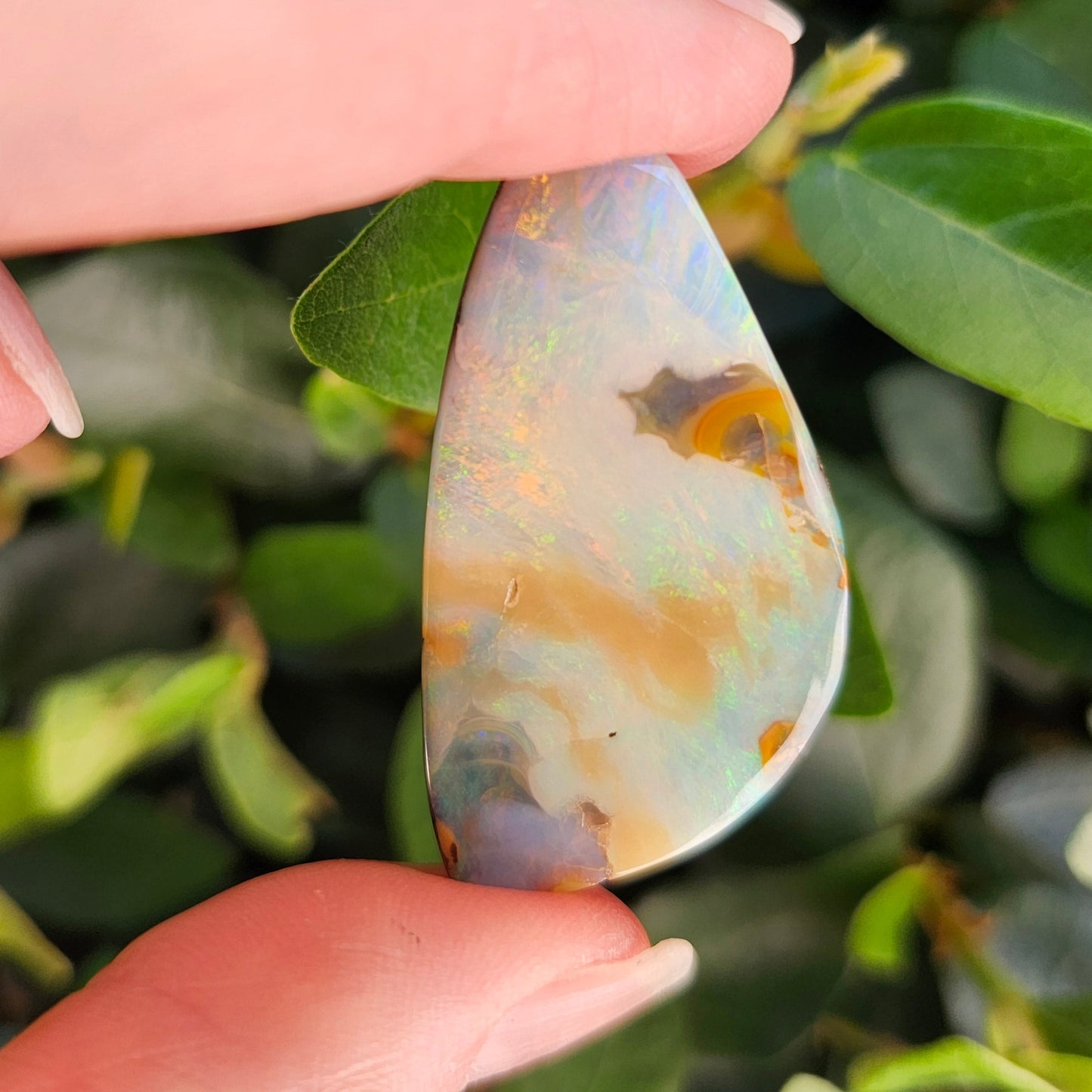 38.94ct Quilpie Boulder Opal | #E252