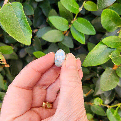 10.95ct Quilpie Boulder Opal | #E246