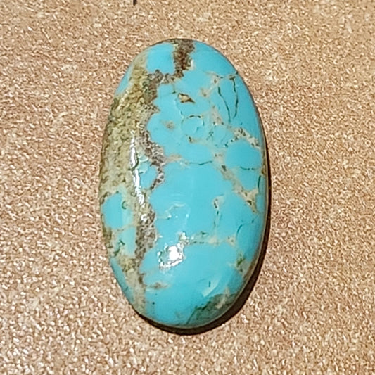 Turquoise #268 | Fox