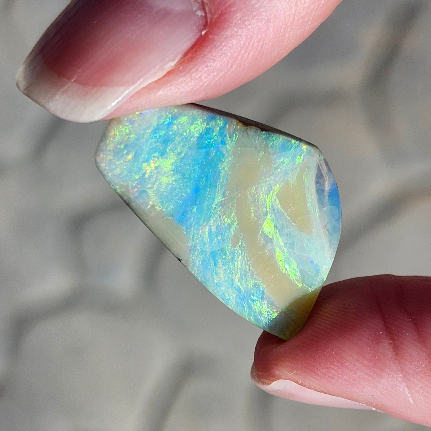 14.55ct Quilpie Boulder Opal | #E245
