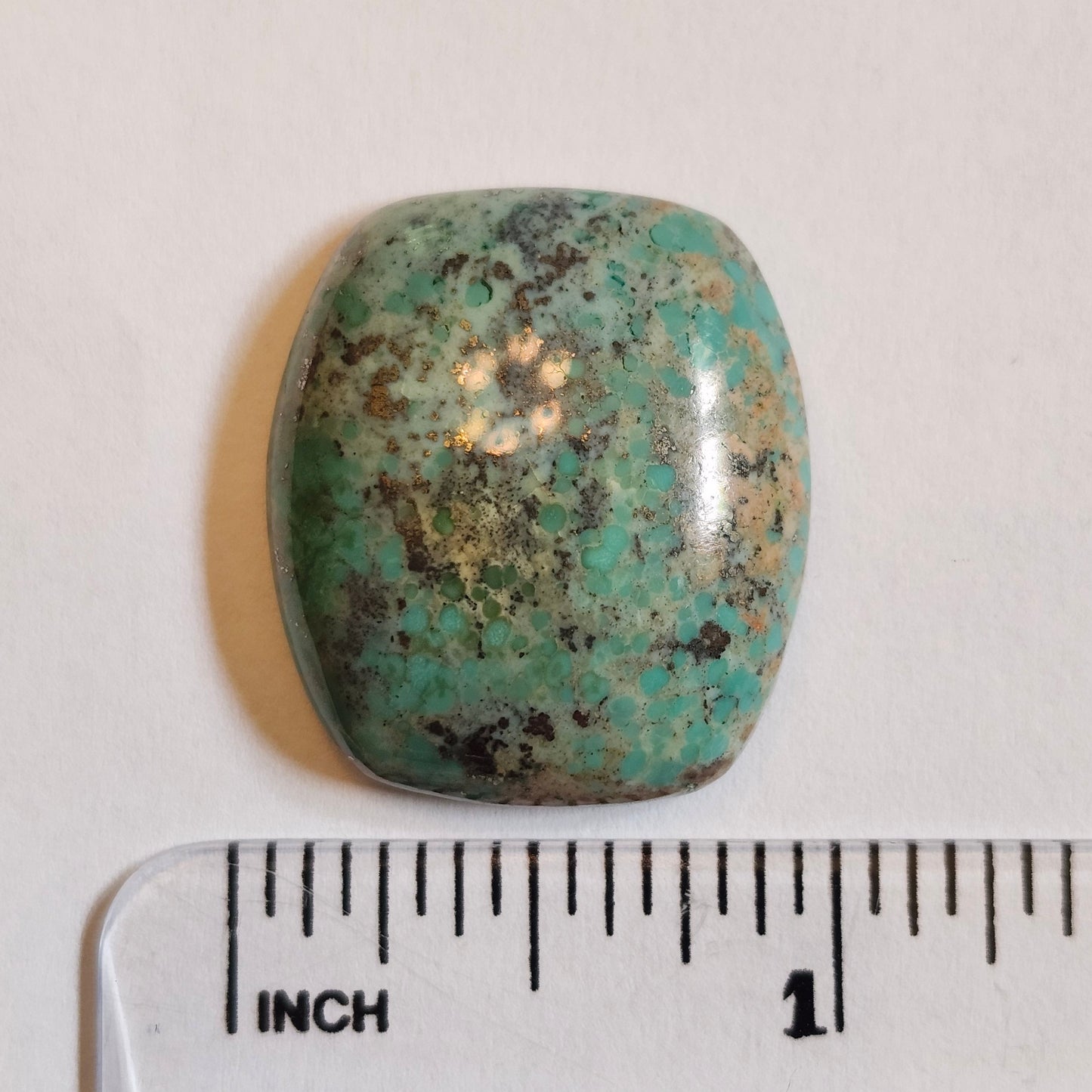 Turquoise #258 | Monte Cristo | Pilot Mountain | Cushion Cut Cabochon