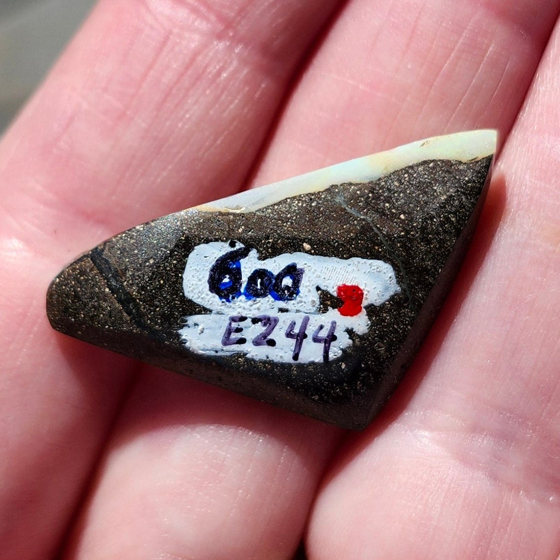 24.33ct Quilpie Boulder Opal | #E244