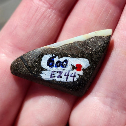 24.33ct Quilpie Boulder Opal | #E244