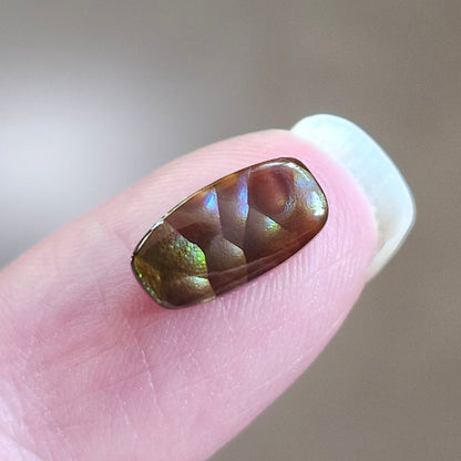 2.21ct Loose Fire Agate | Freeform Cushion Cut Cabochon