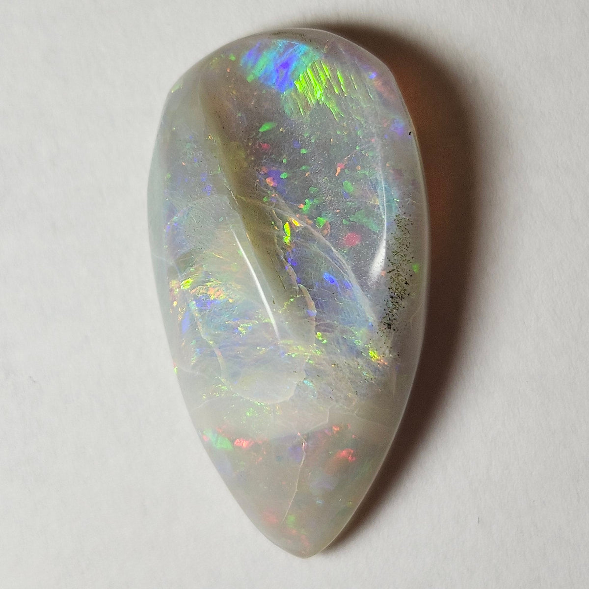 14.44ct Lightning Ridge Semi-Black Australian Opalized Fossil Shell | Freeform Pear | #E289
