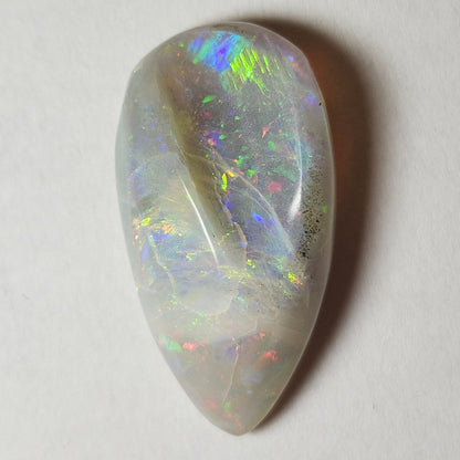 14.44ct Lightning Ridge Semi-Black Australian Opalized Fossil Shell | Freeform Pear | #E289