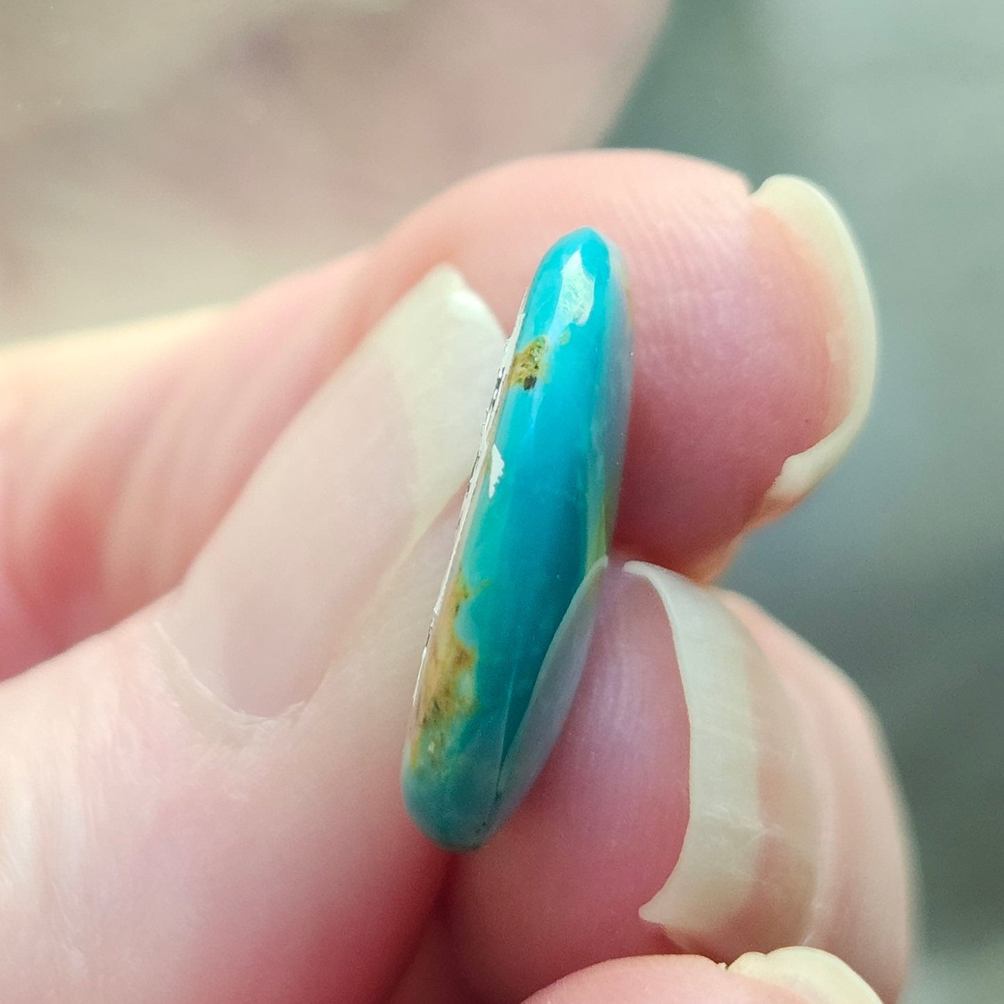 Turquoise #305 | Royston