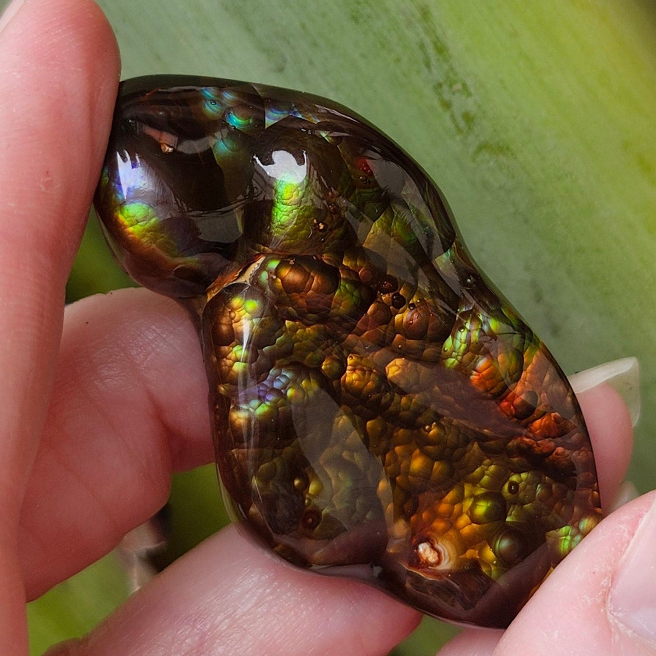 97.57ct Loose Mexican Fire Agate | Freeform Cabochon | #7