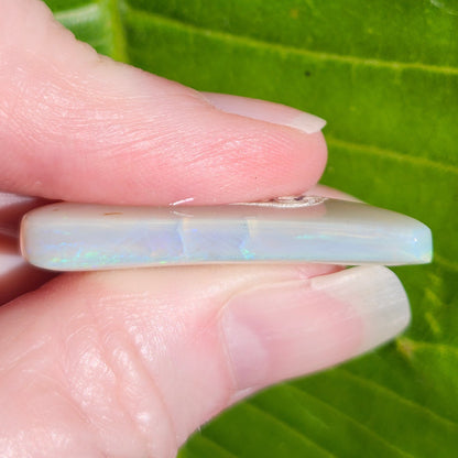 26.03ct Freeform Lightning Ridge Australian Crystal Opal | #E271