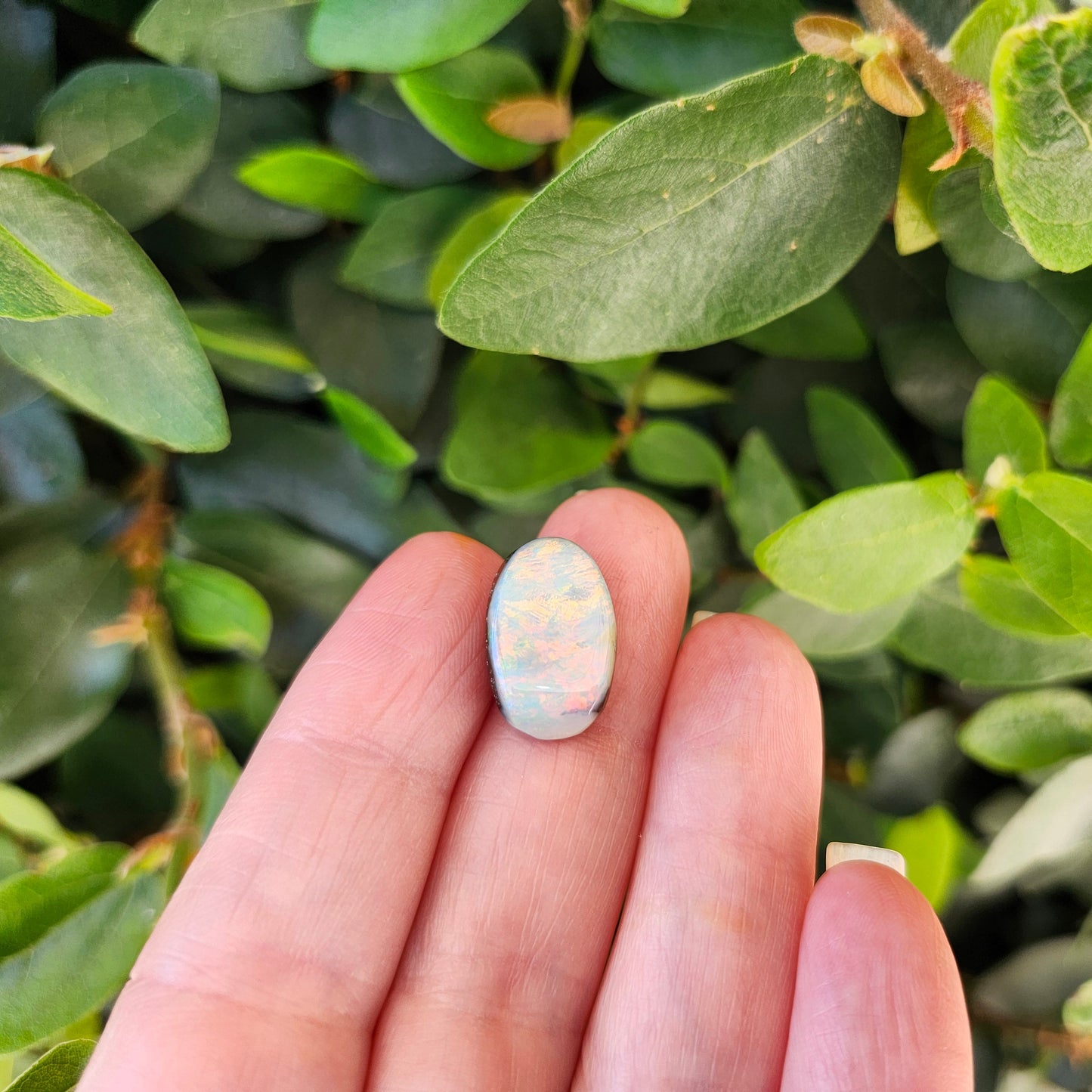 10.95ct Quilpie Boulder Opal | #E246