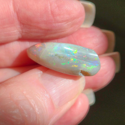 14.44ct Lightning Ridge Semi-Black Australian Opalized Fossil Shell | Freeform Pear | #E289