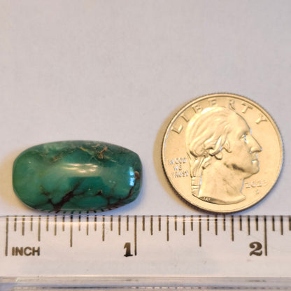 Turquoise #113 | Royston